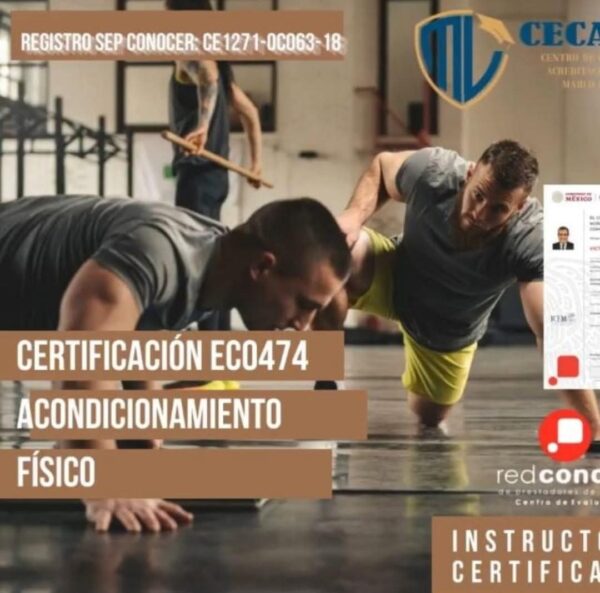 Alineación EC0474
